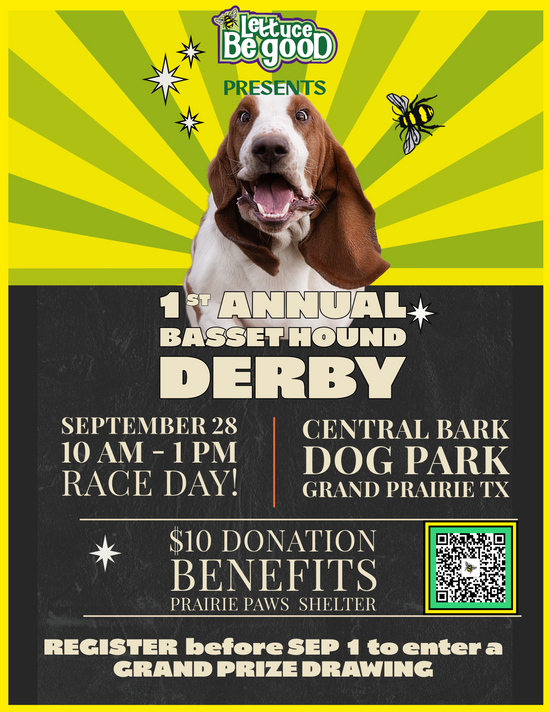 Basset Hound Derby